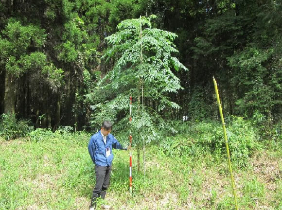 平成27年9月上旬